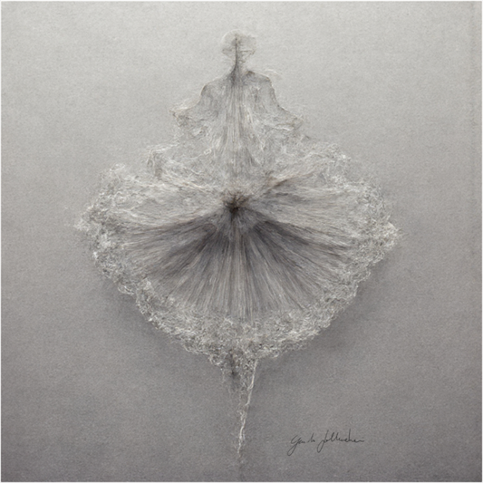 Main image Pentimento XXI — Silverpoint
